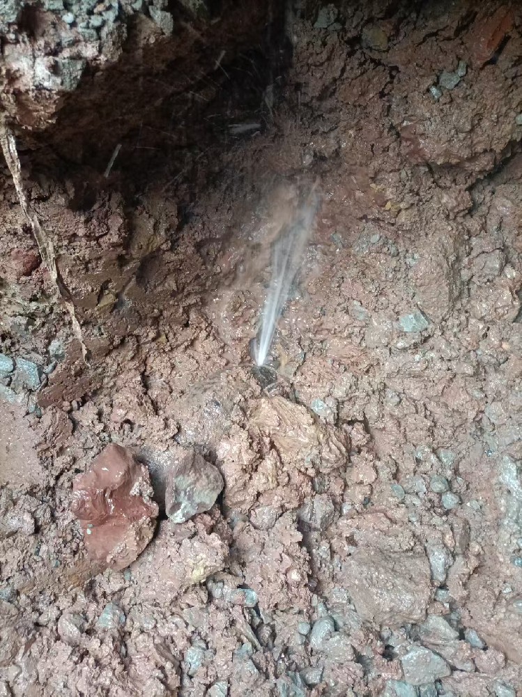 麻章区本地服务：自来水管漏水检测维修